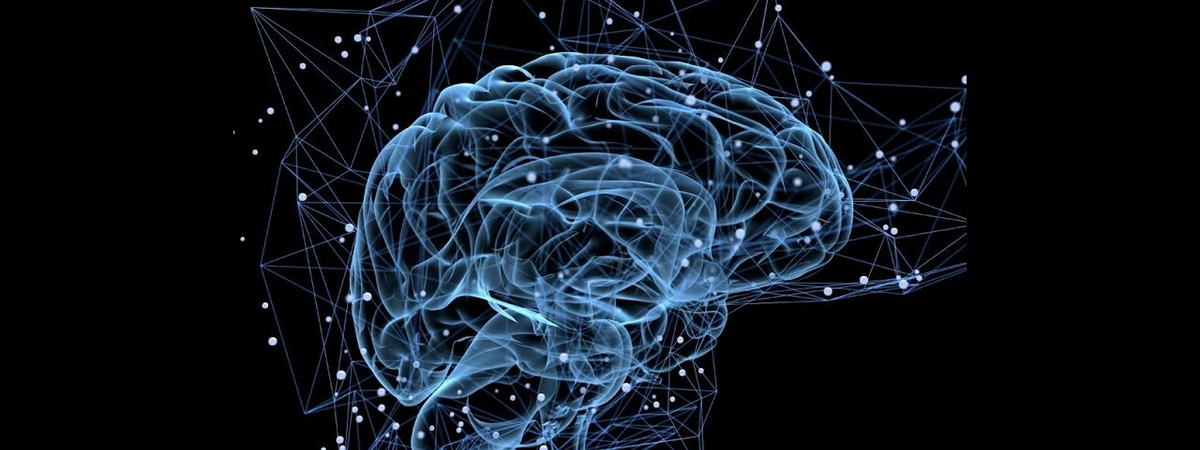 Ученые назвали ТОП-5 элементов для продуктивной работы мозга