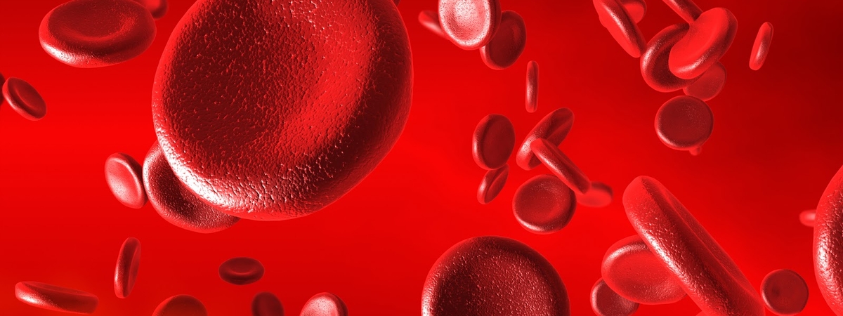 От уровня железа в крови зависит продолжительность жизни – ученые