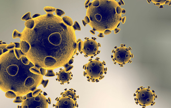 В мире от коронавируса уже умерли более 15 тысяч человек