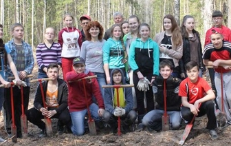 Лучшие среди школ всего мира: ученики из Волковысского района посадили больше всех деревьев