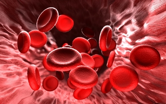Пять продуктов, способные улучшить состав крови