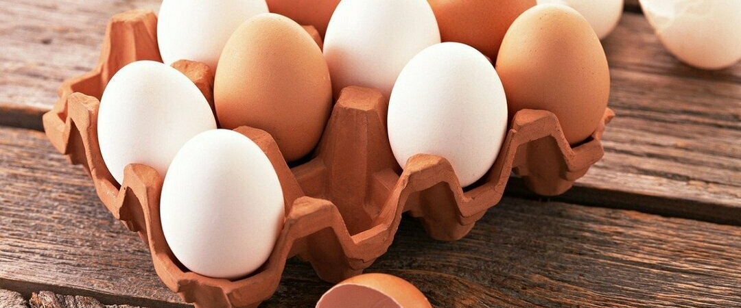 Антираковый омлет. Куриные яйца уничтожают онкологию, рассказал эксперт
