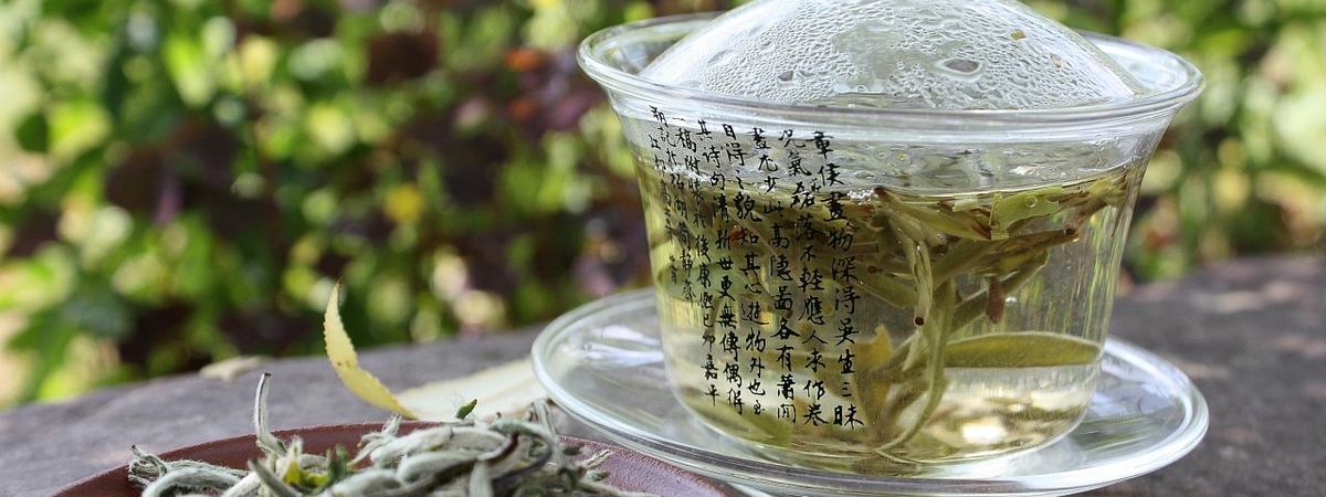 Белый чай стимулирует работу иммунной системы — медики