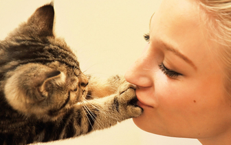 Вот почему кошки трогают лапкой лицо хозяина