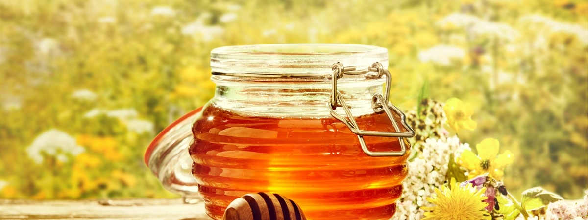 Не все сорта одинаково полезны: какой мед более опасный