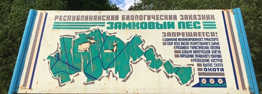 В Волковысском районе 24 июня снят запрет на посещение лесов