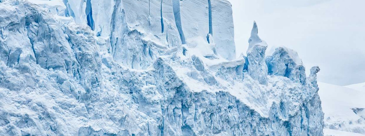 Ученые сделали невероятное открытие в Антарктиде: «эта находка может быть самой древней»
