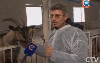 В СПК &#171;Матвеевцы&#187;начали разводить коз на промышленной основе (ВИДЕО)