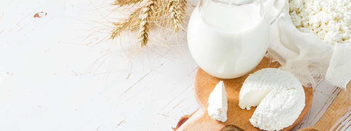 Шесть причин полюбить молочные продукты