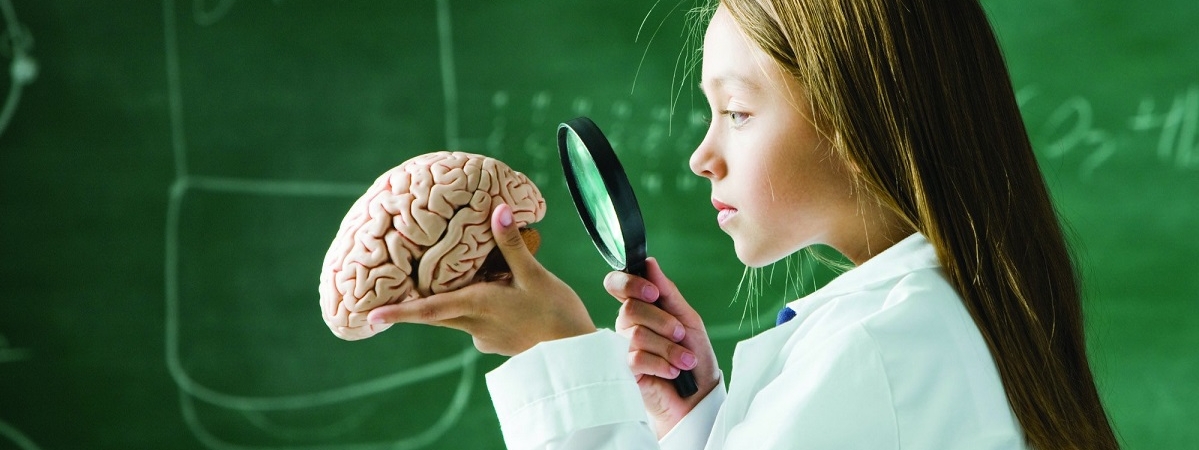 Ученые научились «воскрешать» мозг: прорыв в медицине