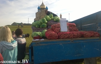 В Волковыске начались сезонные сельскохозяйственные ярмарки