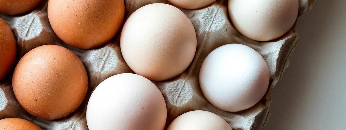 Диетологи рассказали, сколько яиц желательно съедать в неделю