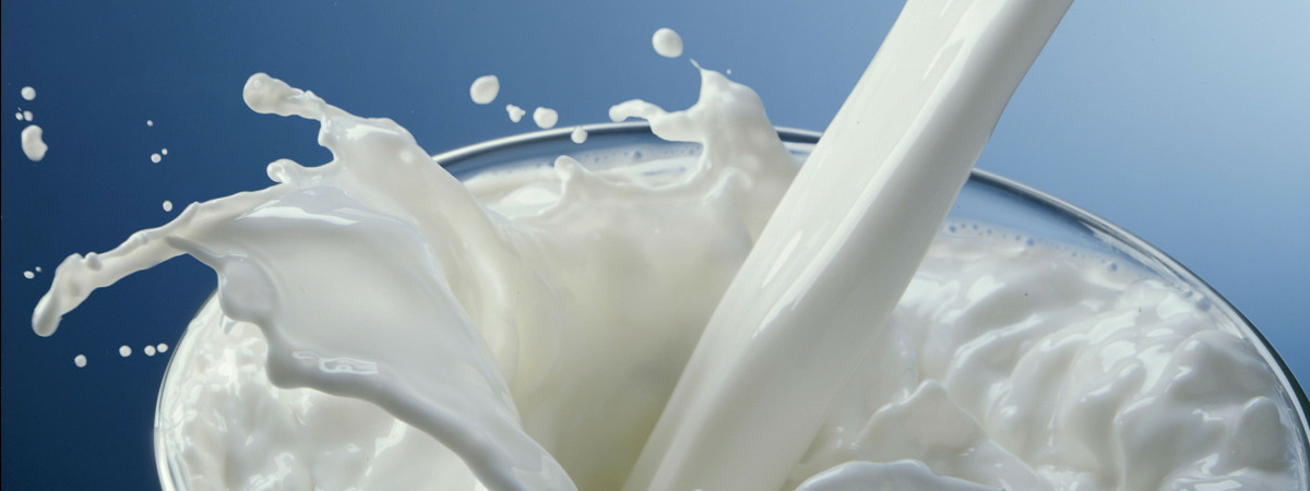 Семь веских причин чаще пить молоко