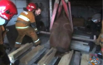 В Верейках 8 спасателей вытаскивали из смотровой ямы гаража лошадь (ФОТО)