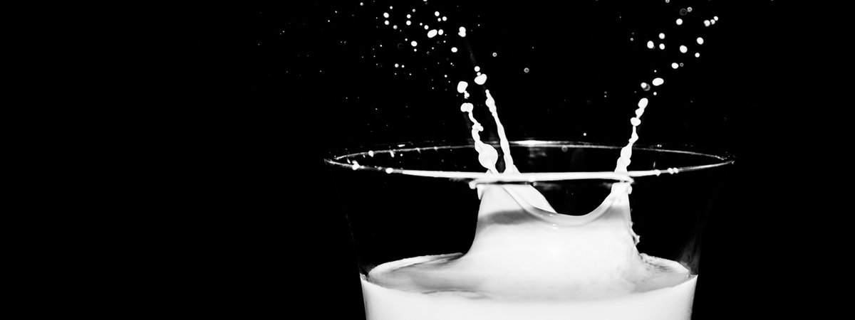Молоко – враг фигуры: Диетологи назвали рацион «русского Шварценеггера» Шифрина для идеального тела