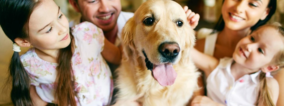 Почему люди считают собак частью своей семьи: новое исследование ученых
