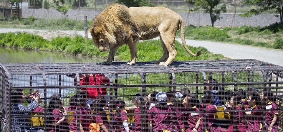 В клетках не звери, а люди: уникальный зоопарк в Китае