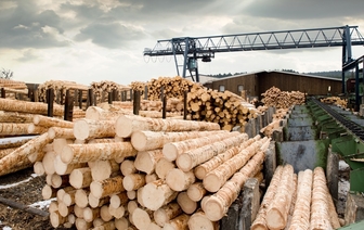 На фоне санкций деревообрабатывающие заводы Беларуси переориентируются на Китай и Россию