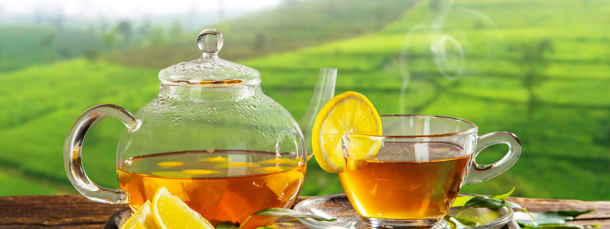 Главная диета – никаких диет: Зелёный чай с лимоном помогает похудеть при любом рационе