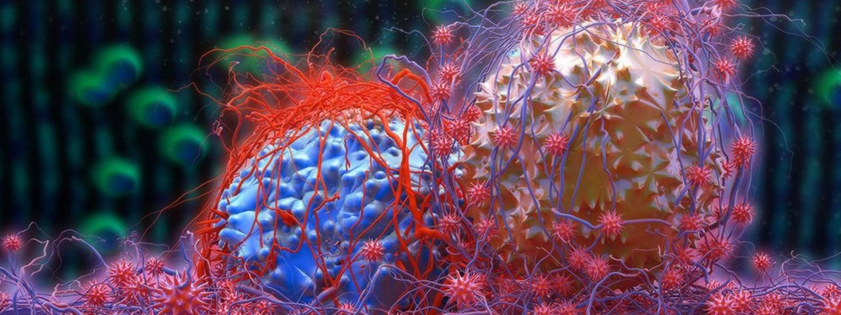 «Это заразно»: ученые разработали новую теорию о возникновении раковых клеток в организме