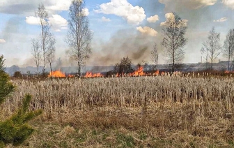 В Волковыске горела частная баня и продолжаются палы растительности