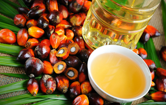 Найдена новая опасность пальмового масла