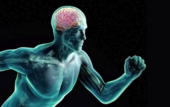 Ученые определили, как физические упражнения влияют на мозг человека
