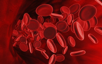 Откровения врача: как мы уничтожаем свою кровь?