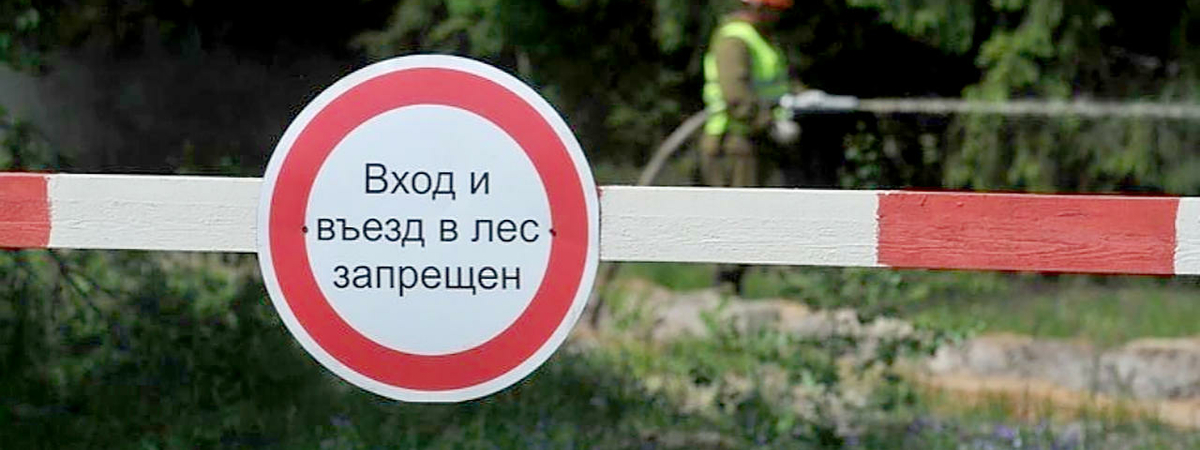 В Волковысском районе введен первый в 2022 году запрет на посещение лесов