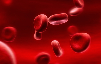 Проверенные методы, которые быстро повышают уровень гемоглобина в крови