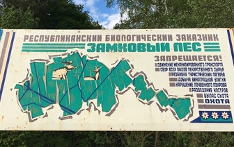 В Волковысском районе снова снят запрет на посещение лесов