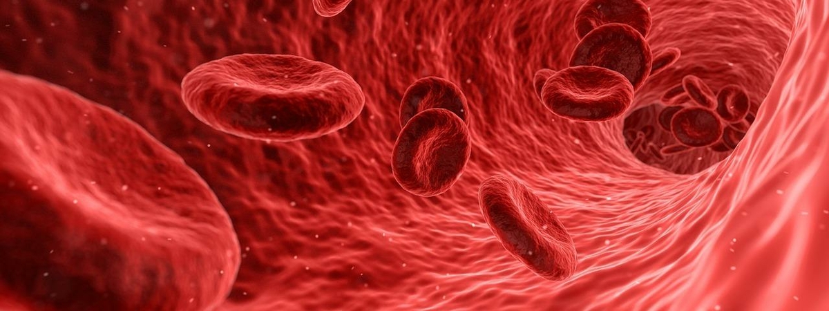 Ученые поразили новыми выводами: эта группа крови опасна для здоровья