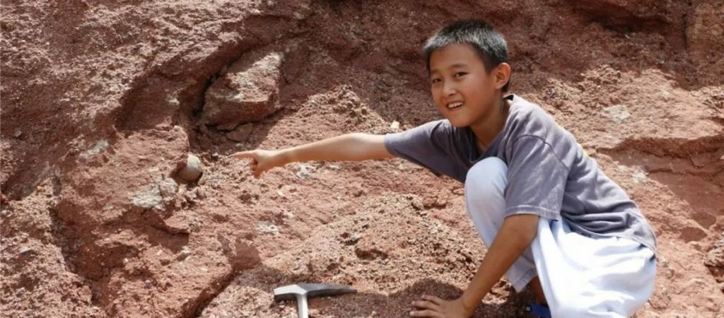 Школьник наткнулся на находку, которой 60 миллионов лет: новая загадка для ученых
