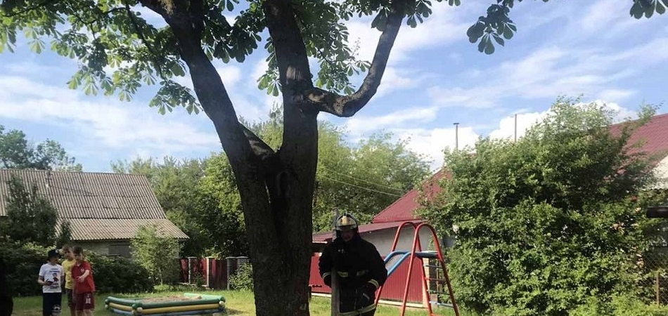 В Волковыске подросток ногой застрял в дереве