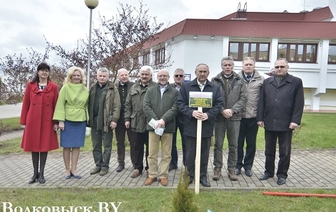 Белостокские лесники приняли участие в закладке аллеи, посвященной 30-летию аварии на ЧАЭС (ФОТО)