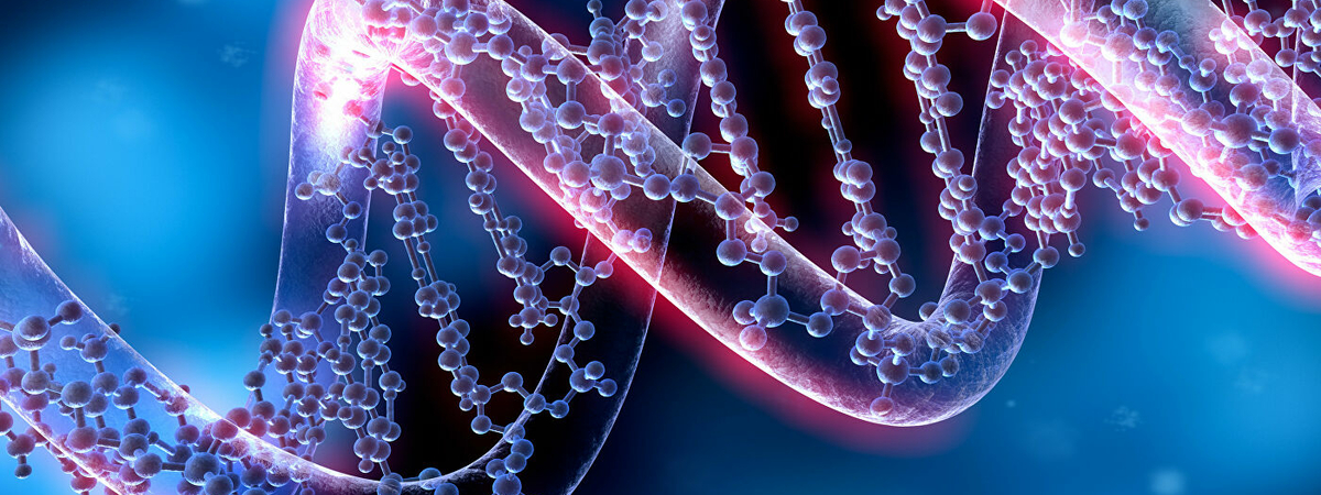 Процесс необратим: Консервированные шпроты меняют ДНК, предупреждает биохимик